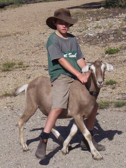 Twinks being ridden by Matthew
