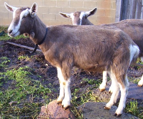 Bon at about17 months