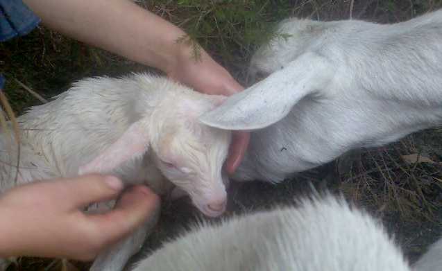 Sea as a newborn