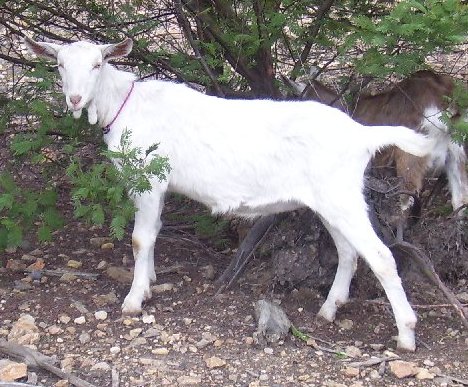 Sea at ten months old