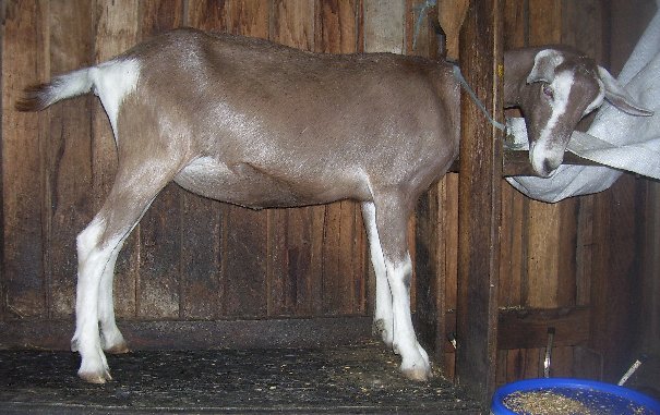 Moon at about 10 months old