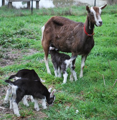 Jint with her kids