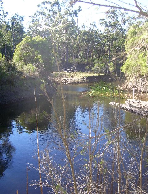 The Dam neck from the buck paddock