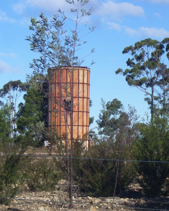 The incinerator from the buck paddock