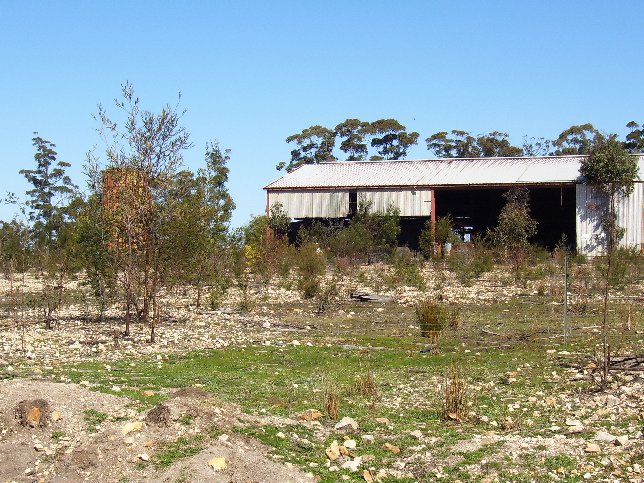 The shed from the buck paddock